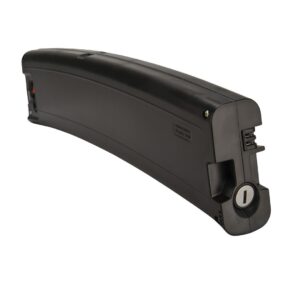 Accu Fischer 36V